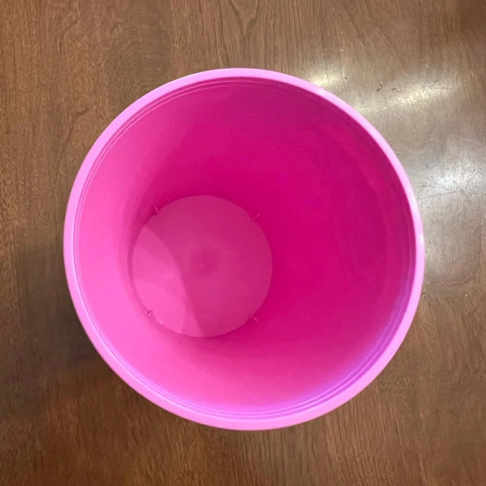 New Disney Minnie Mouse and Dafney 16oz Pink Party Cups 11 total plastic - Picture 4 of 6
